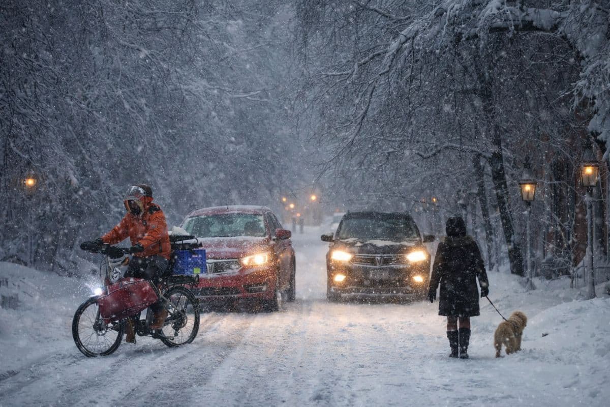 ट्रंप ने 10 अमेरिकी स्टेट में इमरजेंसी की मंजूरी दी, 12,000 से ज्यादा उड़ानें रद्द, आधा US बर्फीले तूफान से प्रभावित