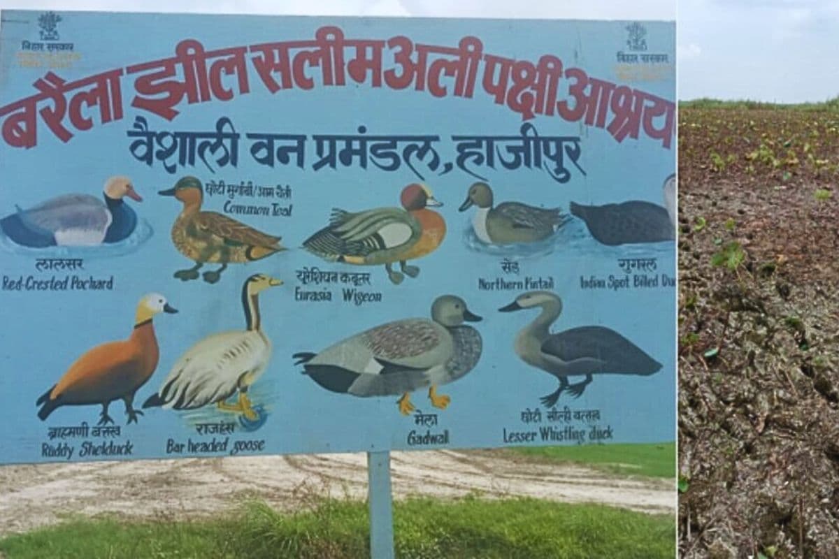 सूखी बरैला झील में लौटेगी चहचहाहट, नीतीश सरकार के मास्टरप्लान से बदलेगी वैशाली की तस्वीर