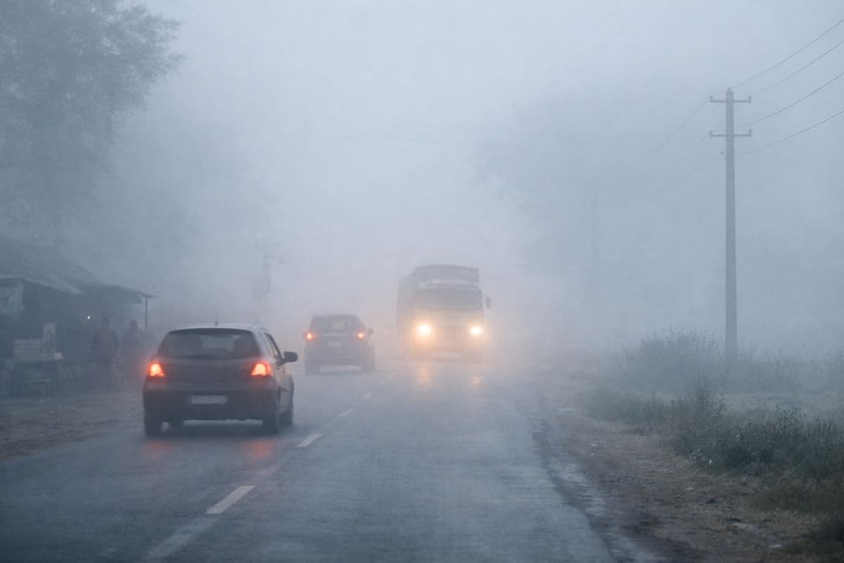 पश्चिम बंगाल के इन इलाकों में घना कोहरे का अलर्ट, IMD ने बताया- अगले 7 दिन तक कैसा रहेगा मौसम