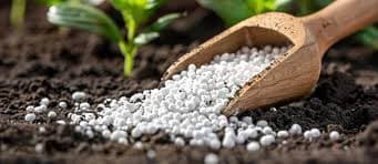 Fertiliser: पिछले साल खरीफ और रबी फसल के दौरान मांग से अधिक रही उर्वरक की आपूर्ति