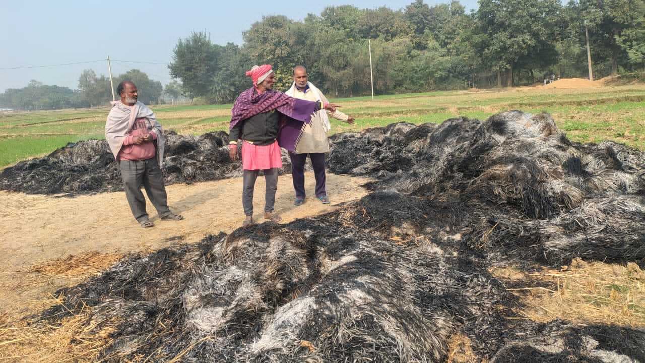 असामाजिक तत्वों ने धान पुंज में लगायी आग