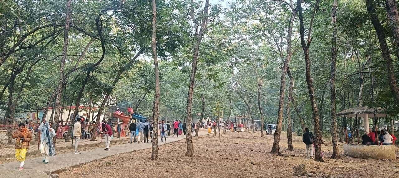 उधवा में हर्षोल्लास के साथ मनाया नववर्ष, हजारों लोग पहुंचे पतौड़ा झील