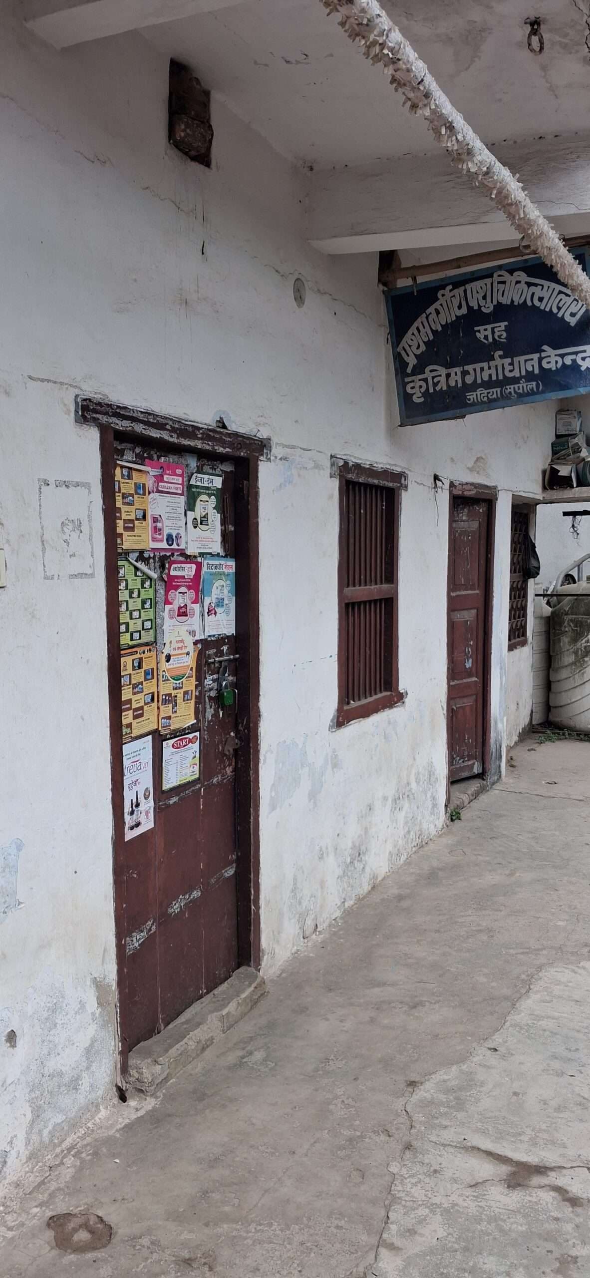 बदहाली: प्रथम वर्गीय पशु चिकित्सालय सह कृत्रिम गर्भाधान केंद्र में लटका रहता है ताला, पुशपालक परेशान