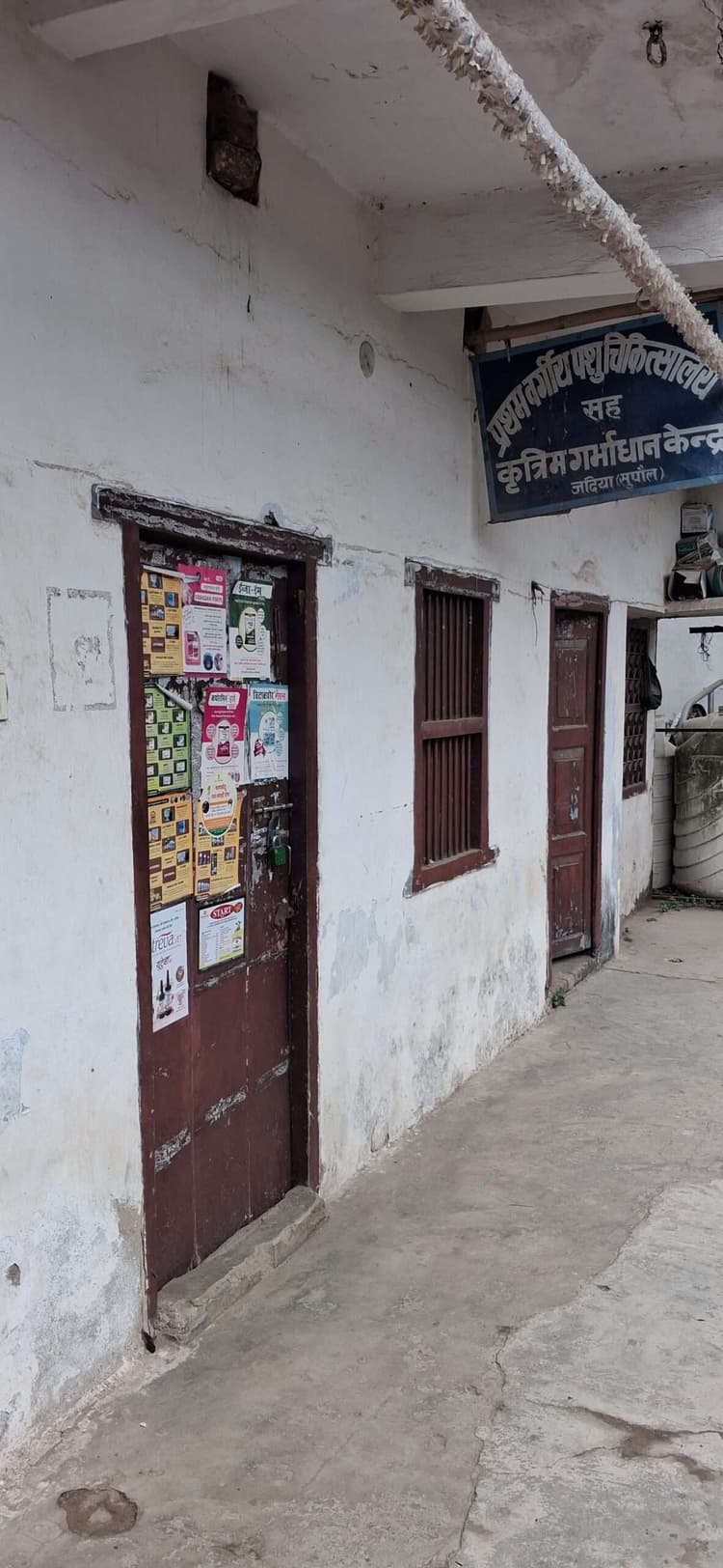 बदहाली: प्रथम वर्गीय पशु चिकित्सालय सह कृत्रिम गर्भाधान केंद्र में लटका रहता है ताला, पुशपालक परेशान