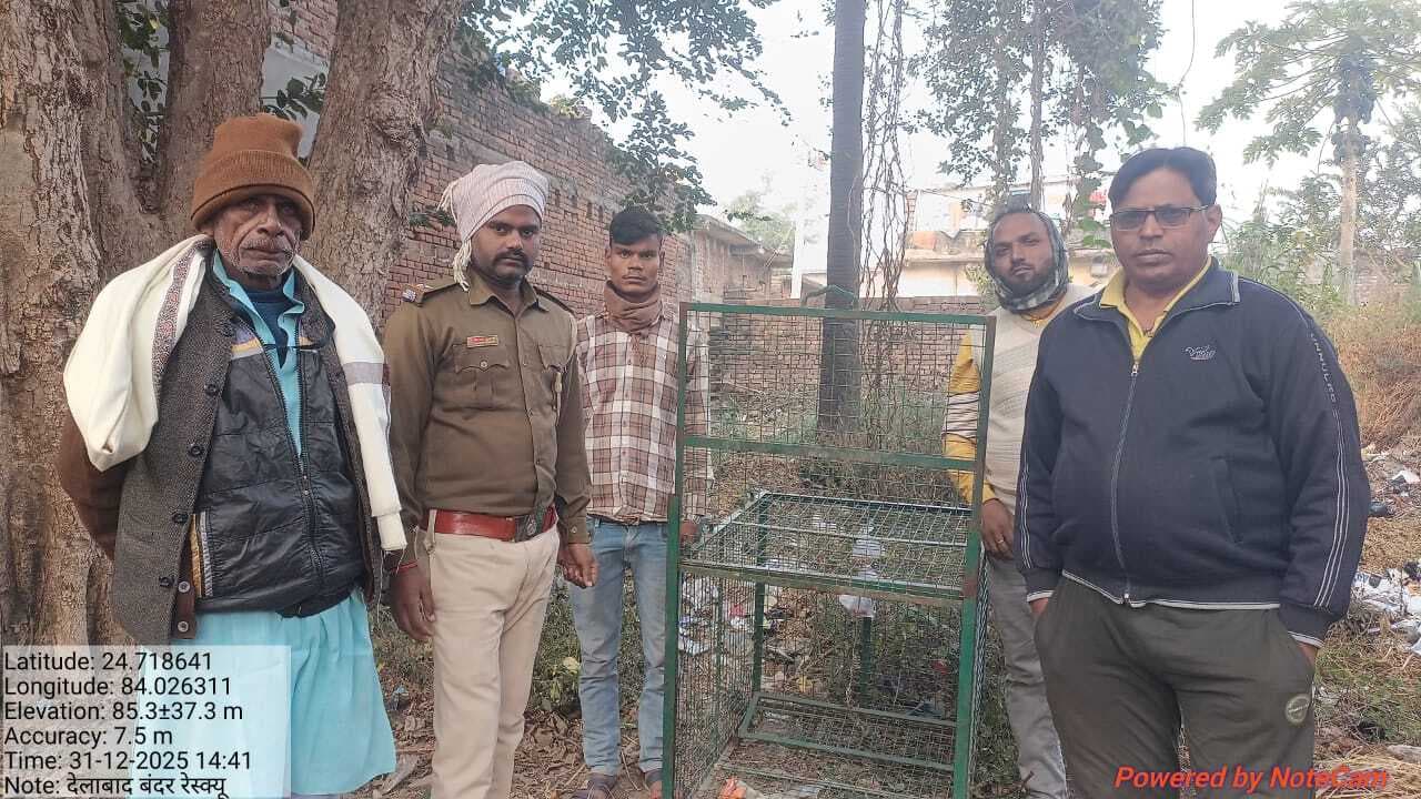 नवाडीह गांव में बंदरों के आतंक से निजात पाने के लिए लगे पिंजड़े