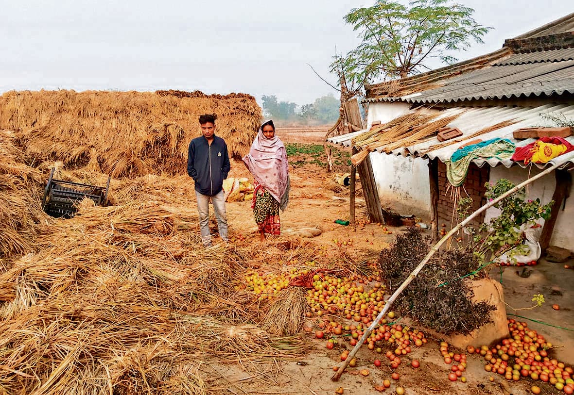 Seraikela Kharsawan News : कुकड़ू और बेरासीसिरुम में हाथियों का उत्पात, पीडीएस दुकान के चावल खा गये