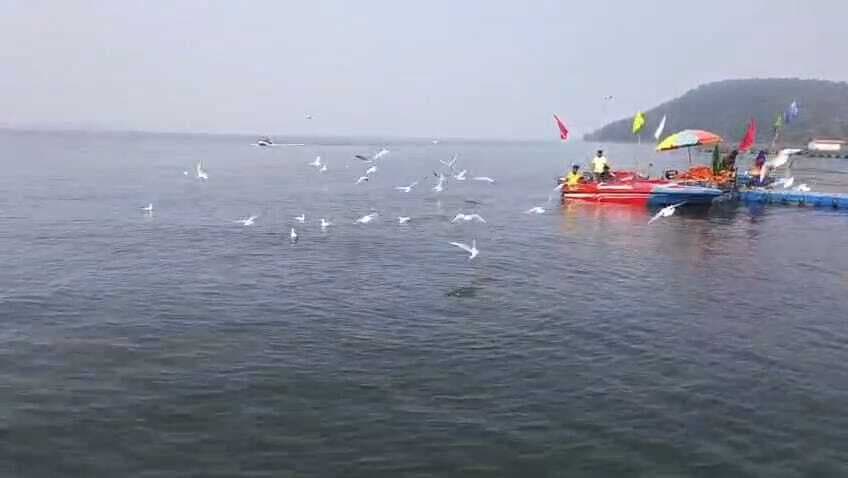 Seraikela Kharsawan News : 5 हजार किमी उड़कर पहुंचे परिंदे, चांडिल डैम बना विदेशी पक्षियों का डेरा