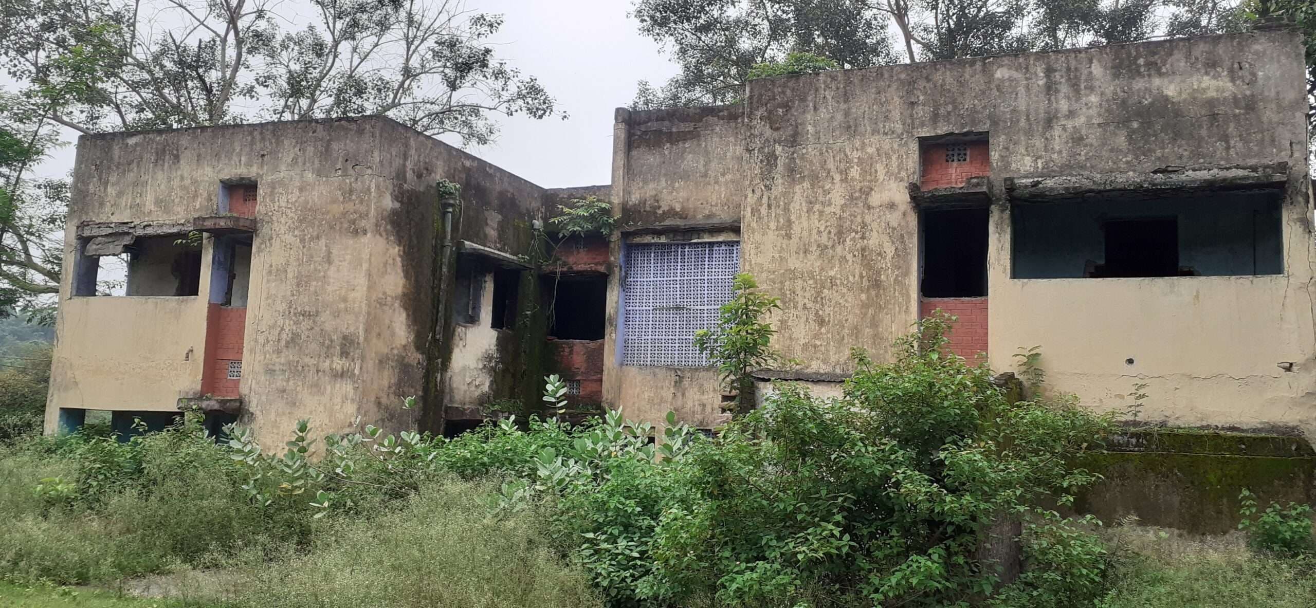 Bokaro News : खंडहर में तब्दील हुए तारमी कोलियरी कॉलोनी के दर्जनों क्वार्टर