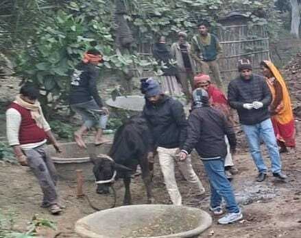 Samastipur News:विभूतिपुर में गीदड़ों का आतंक, किसान व मवेशियों को काटकर किया जख्मी