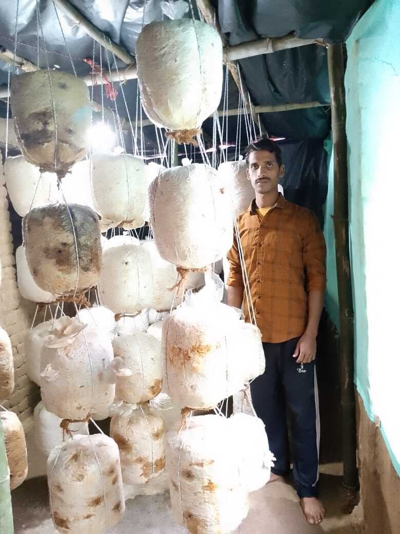 मशरूम की महक से बदल रही रोहित की किस्मत