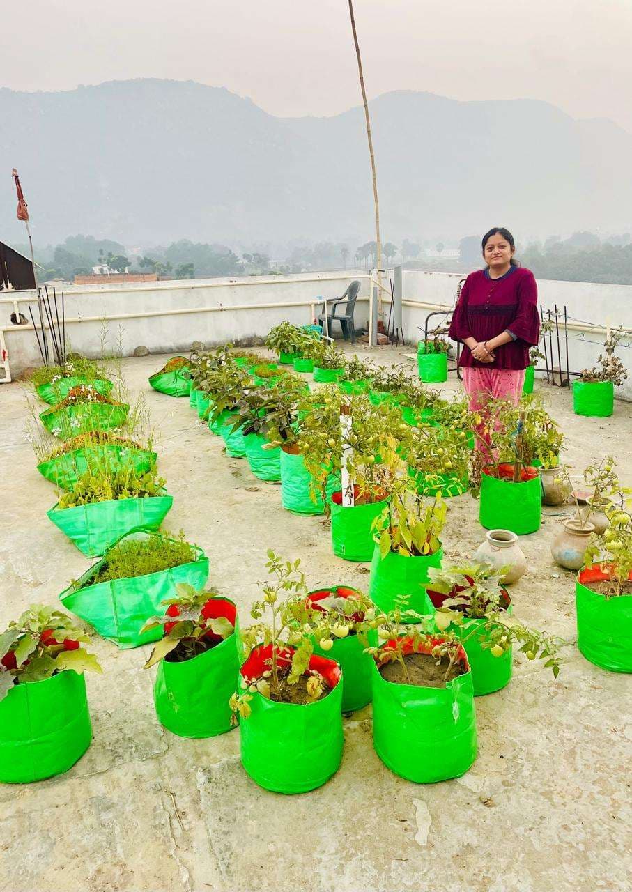 राजाबिगहा में घर की छत को बनाया खेत, उगाती हैं भरपूर सब्जियां