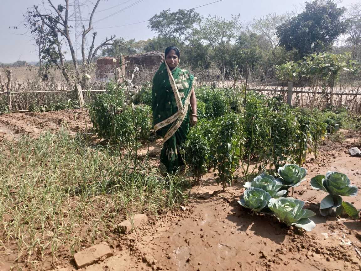मनरेगा में महिलाएं बन रही आत्मनिर्भर, झारखंड में पुरुषों के मुकाबले महिलाओं को मिला ज्यादा काम