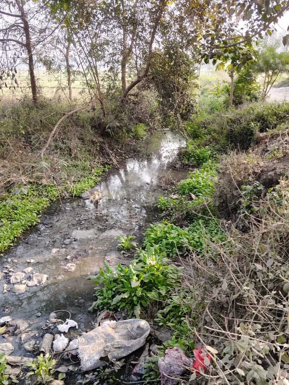 Aurangabad News : 53 साल बाद संवरने जा रही उत्तर कोयल नहर