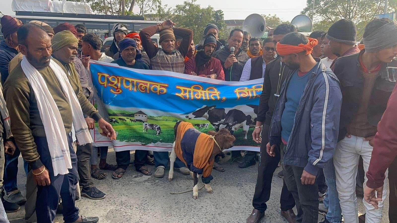 Giridih News :पशुपालक समिति ने मवेशी के साथ किया प्रदर्शन