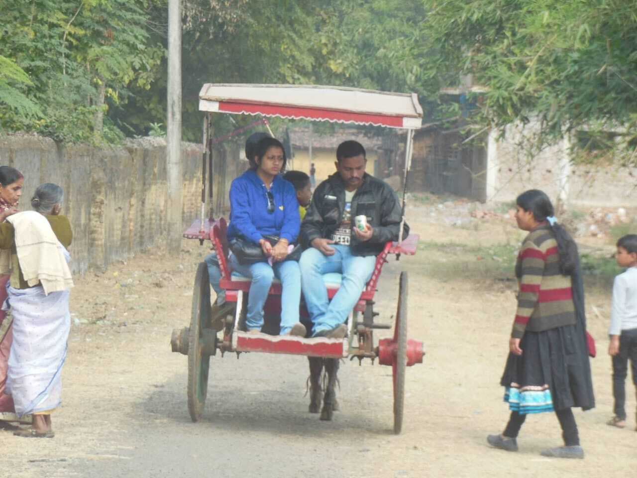 आधुनिकता के दौर में विलुप्त हो गयी मधुपुर की घोड़ा गाड़ी