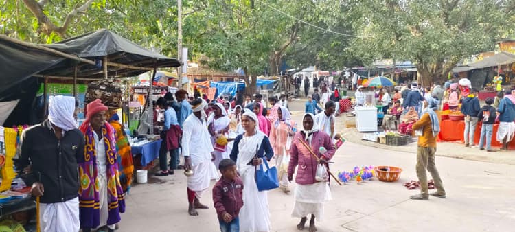 दूर-दूर से सफा अनुयायी पहुंचने लगे मंदार, बढ़ी धार्मिक हलचल