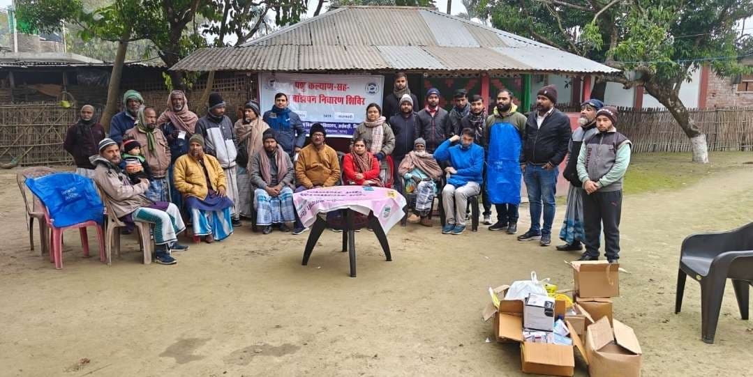खनिज मिश्रण की कमी व समय पर कृत्रिम गर्भाधान नहीं करने पर पशु नहीं कर पाते गर्भाधारण