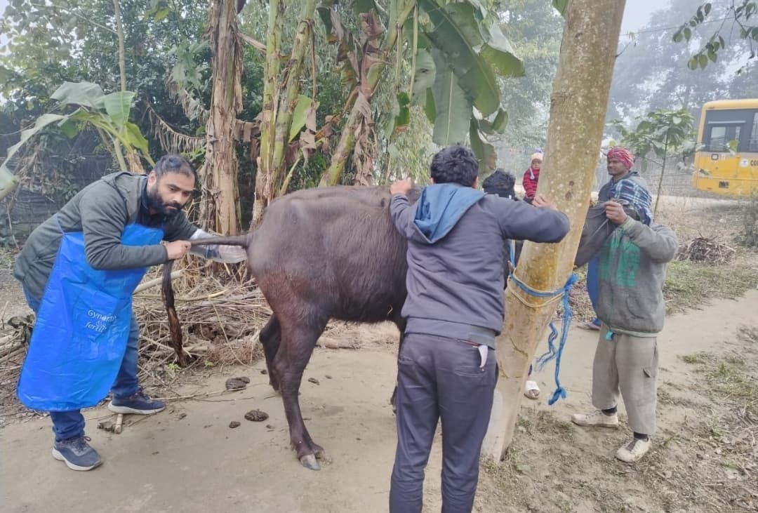 किसान संवाद एवं पशु चिकित्सा शिविर का आयोजन