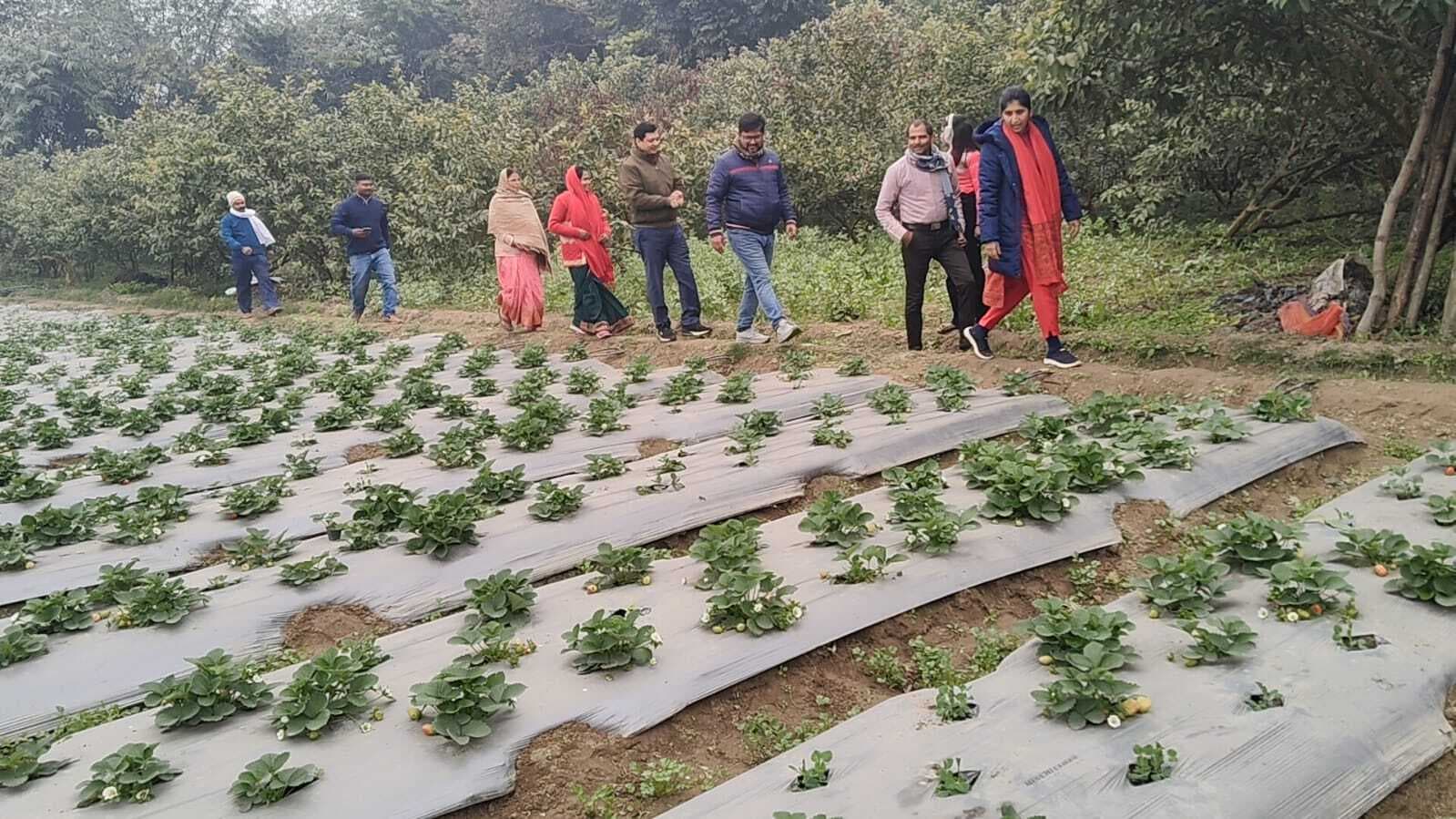 प्रदान के सहयोग से ग्रामीण स्तर पर कृषि में हो रहा सकारात्मक बदलाव