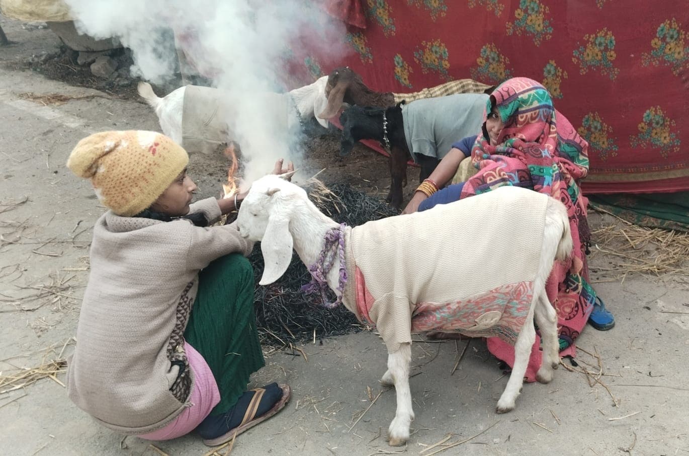तीन दिन सात डिग्री रहेगा न्यूनतम तापमान