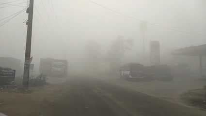 पथरगामा में घना कोहरा, जनजीवन और सड़क यातायात प्रभावित