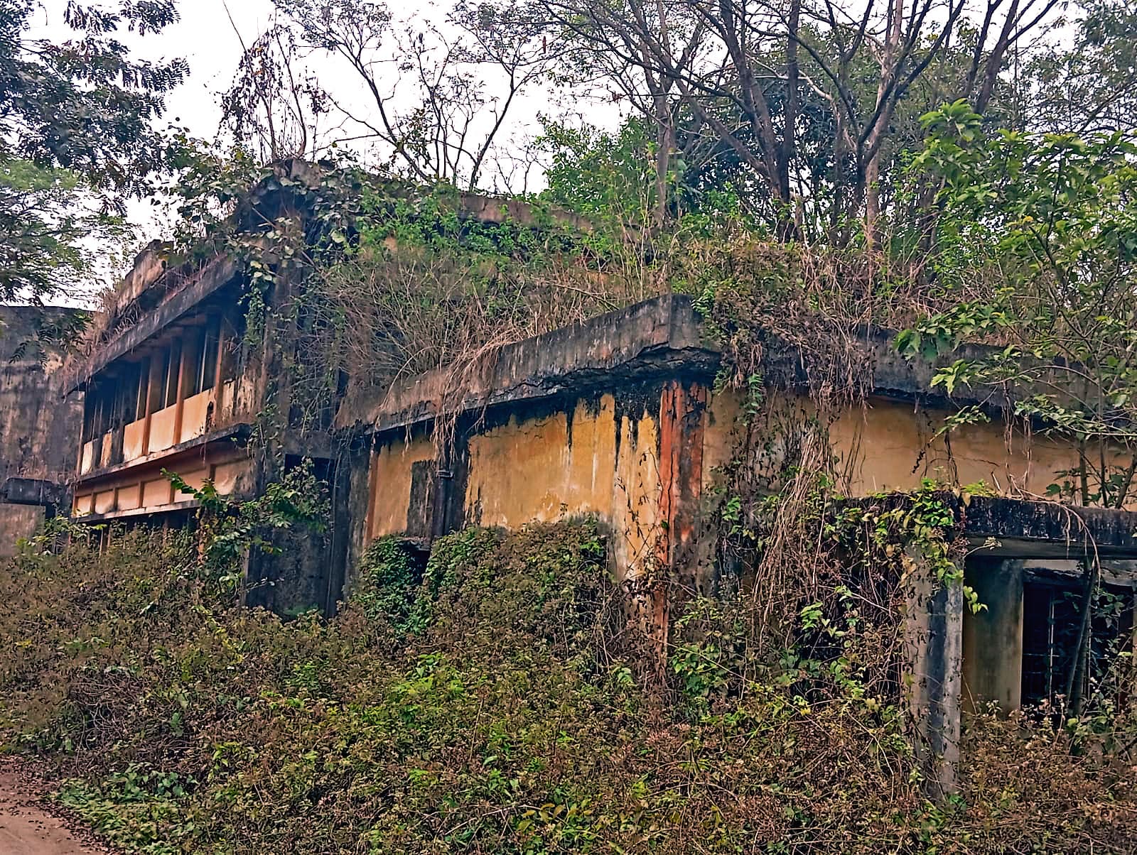 East Singhbhum News : 25 साल से बंद मुसाबनी माइंस अस्पताल बना खंडहर