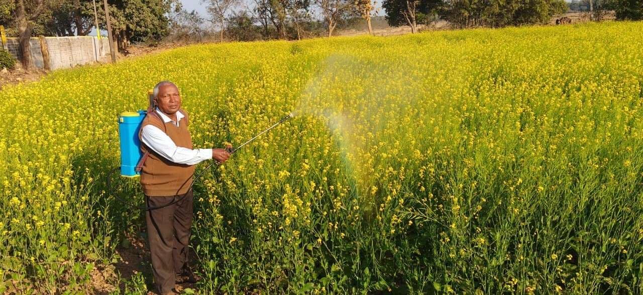 East Singhbhum News : किसानों के लिए प्रेरणा बने 72 वर्षीय भूपेंद्रनाथ