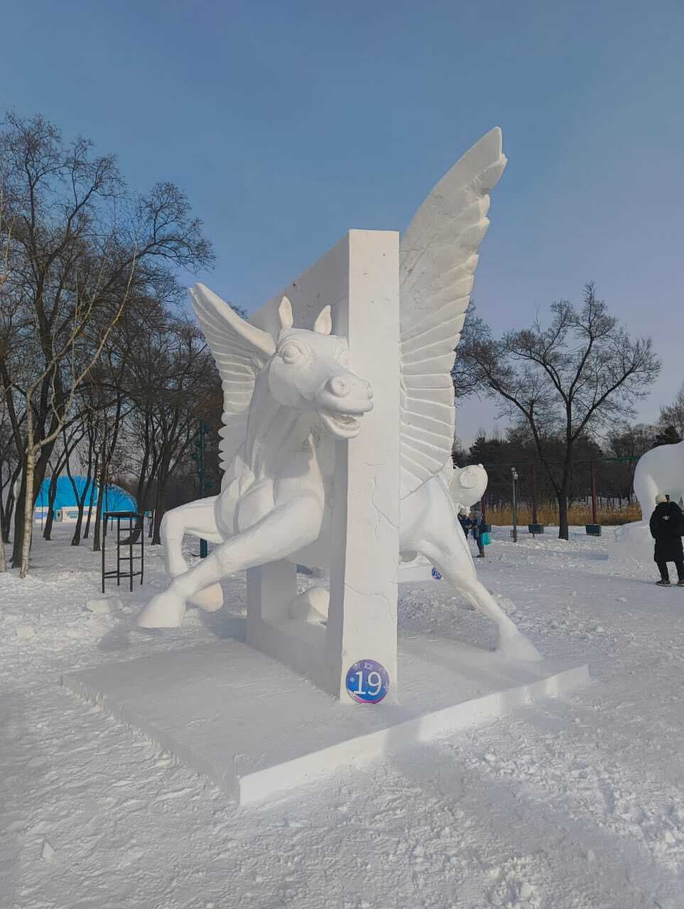 चीन में भारत का परचम, कैमूर के रवि प्रकाश की टीम ने जीता अंतरराष्ट्रीय सम्मान