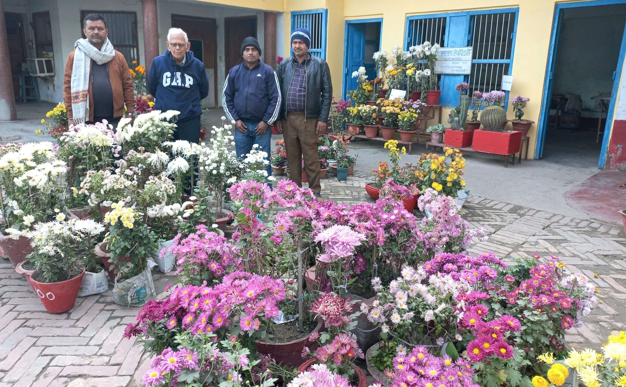 Bihar/Samastipur News:प्रदूषण के खिलाफ ''नेचुरल शील्ड'' है गुलदाउदी: समस्तीपुर में पुष्प प्रदर्शनी का शानदार समापन