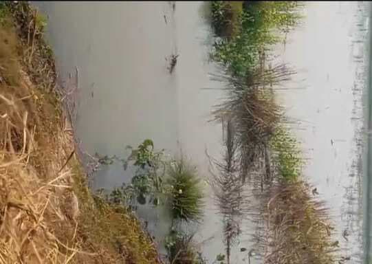 नहर निर्माण में लापरवाही से किसानों की दलहन व तिलहन फसल डूबी