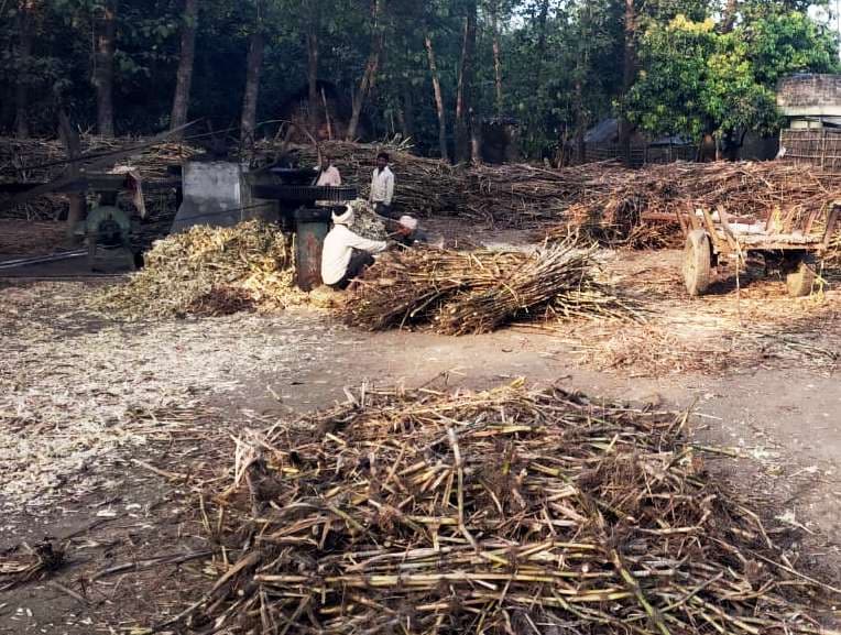 सुविधाएं मिलें तो बढ़ेंगे किसानों के जीवन में मिठास