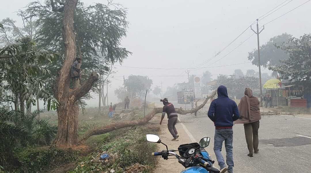 दिघरी चौक पर सूखे शीशम का पेड़ हटाया, टला हादसा
