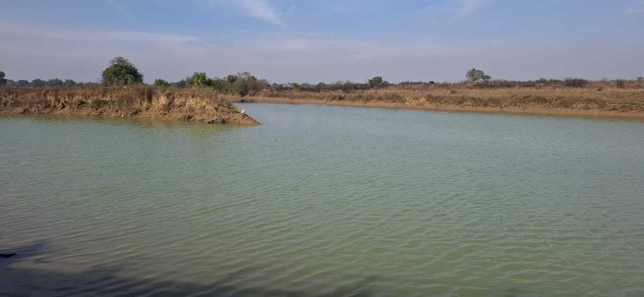 Giridih News :त्रिवेणी में मकर संक्रांति उत्सव की तैयारी पूरी