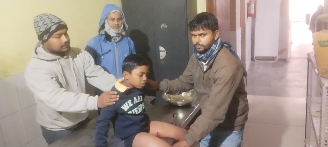 Dogs terrorize in cold wave:सरकारी आदेश को ठेंगा: स्कूल-कोचिंग बंद होने के बाद भी पढ़ने जा रहा मासूम आवारा कुत्तों का शिकार, हालत गंभीर