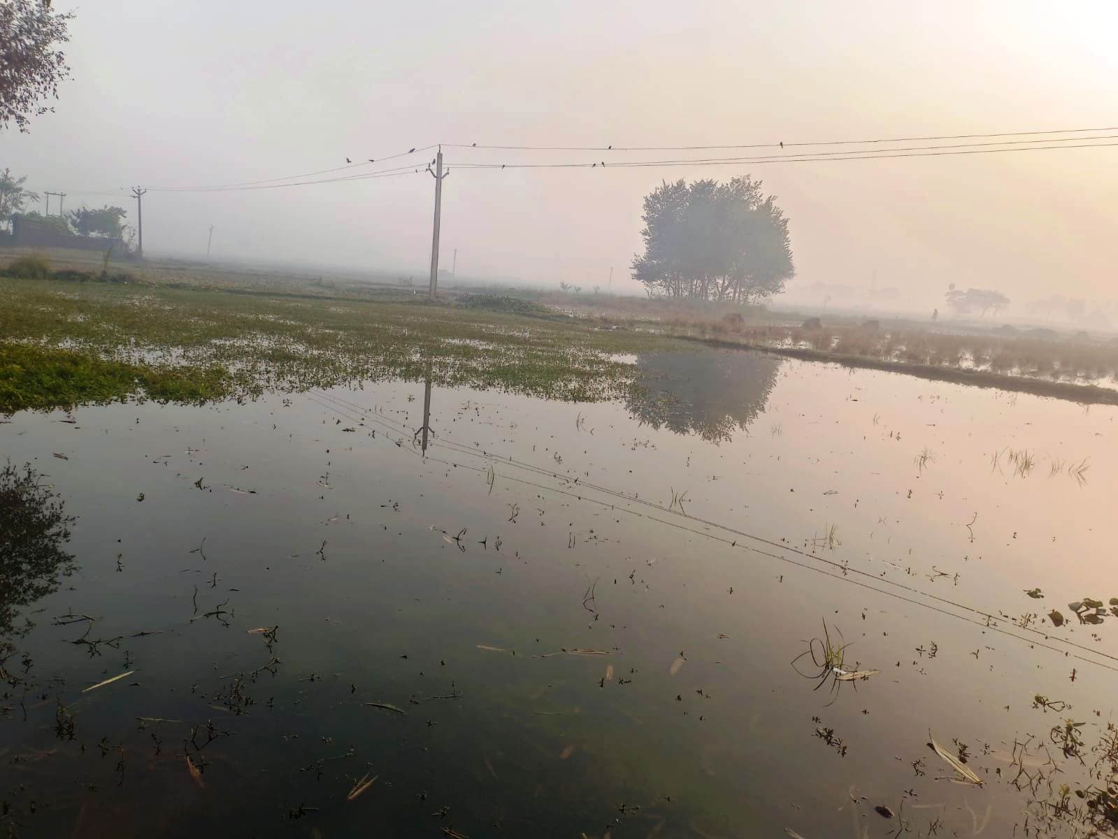 डेम से पानी छोड़े जाने के बाद चोरगांव नहर जलमग्न, खेतों में पानी किया प्रवेश