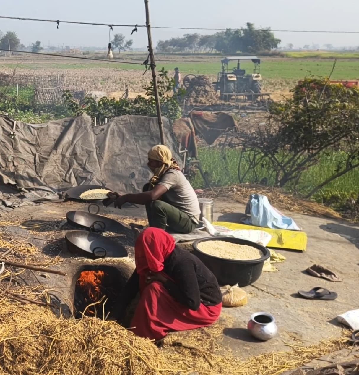 विलुप्ति के कगार पर घुंसार, संक्रांति पर सालभर के लिए इकट्ठा हो जाता है अनाज