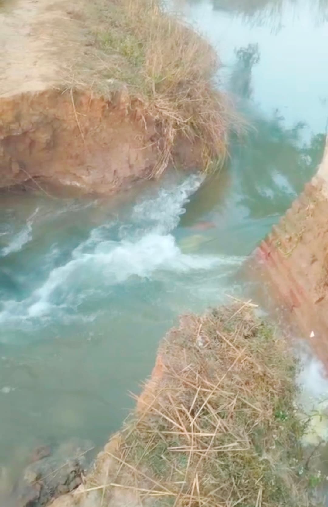 माली कोचहासा का टूटने से  खेत जलमग्न, रबी फसल को नुकसान की आशंका