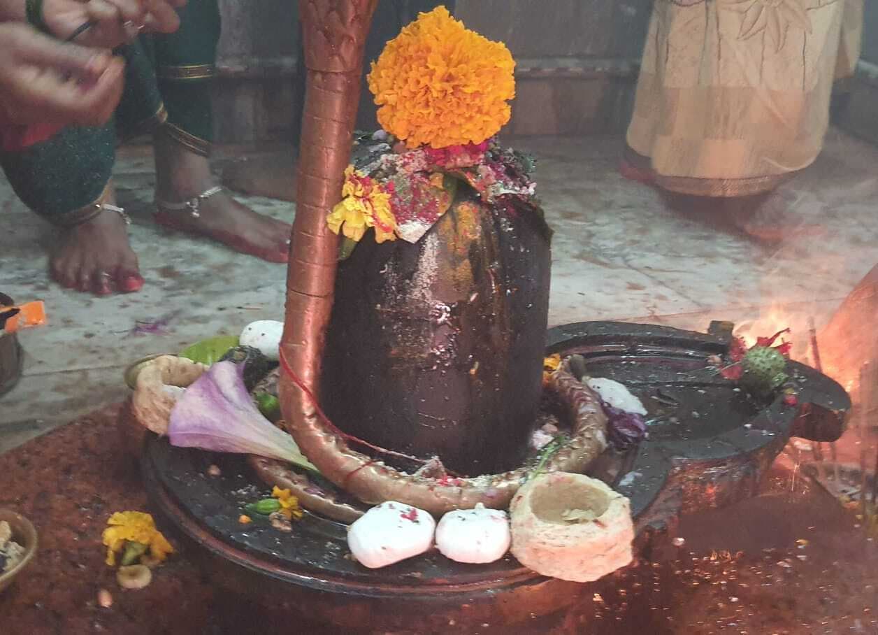 मकर संक्रांति : शिवालयों में श्रद्धालुओं ने की विधि-विधान से पूजा-अर्चना