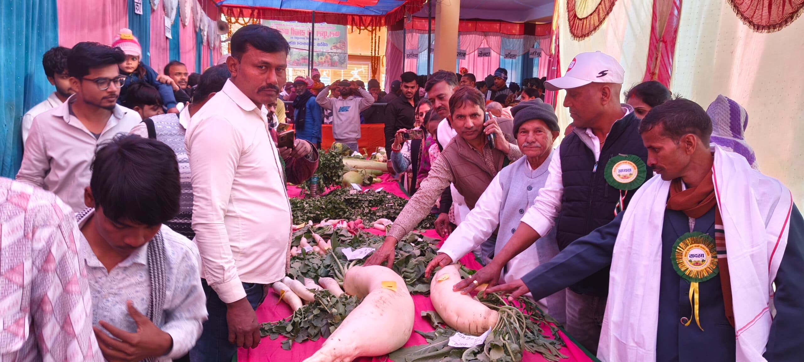 12 किलो की मूली व चार फुट की लौकी ने सबको लुभाया