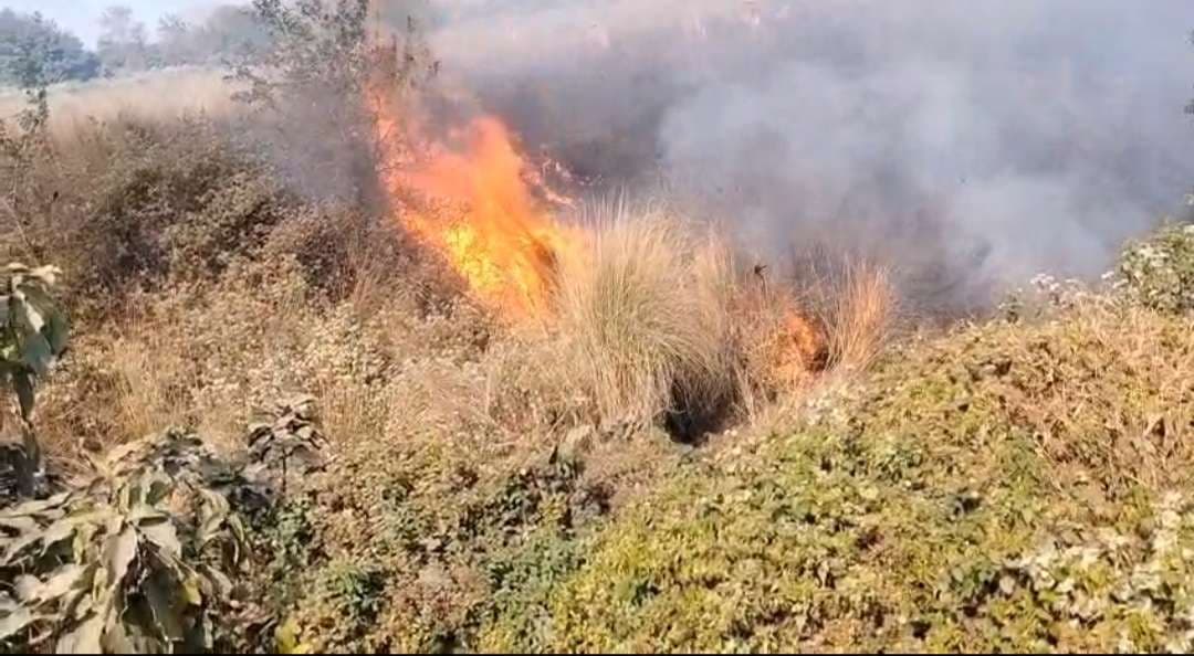 Dhanbad News: चैतुडीह आउटसोर्सिंग पैच के पास लगी भीषण आग