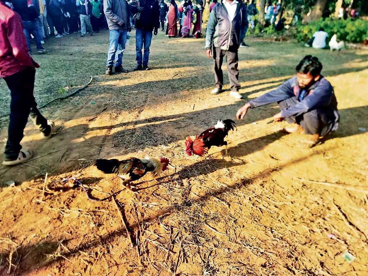 Chaibasa News : मुर्गा पाड़ा में खूब लगी बाजी, बच्चों ने की मस्ती