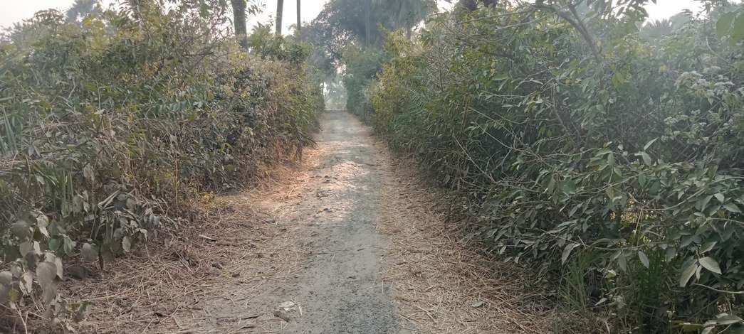 ठाकुरगंगटी के ग्रामीण क्षेत्रों की सड़कें जर्जर, आवागमन हुआ मुश्किल