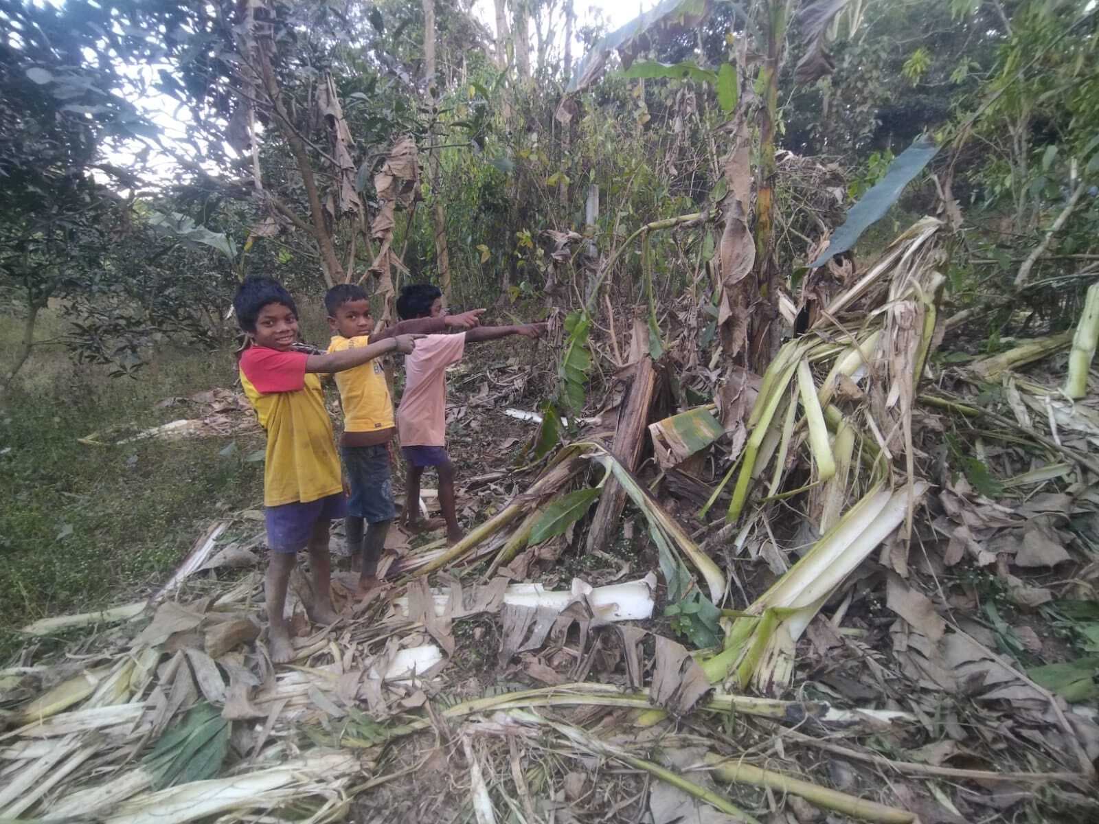 Chaibasa News : पांच दिनों बाद मझगांव में दिखा दंतैल हाथी, वन विभाग ने खदेड़ा