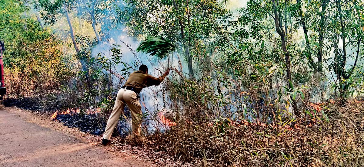 East Singhbhum News : सोनाहातु जंगल में लगी आग, चार घंटे में पाया काबू