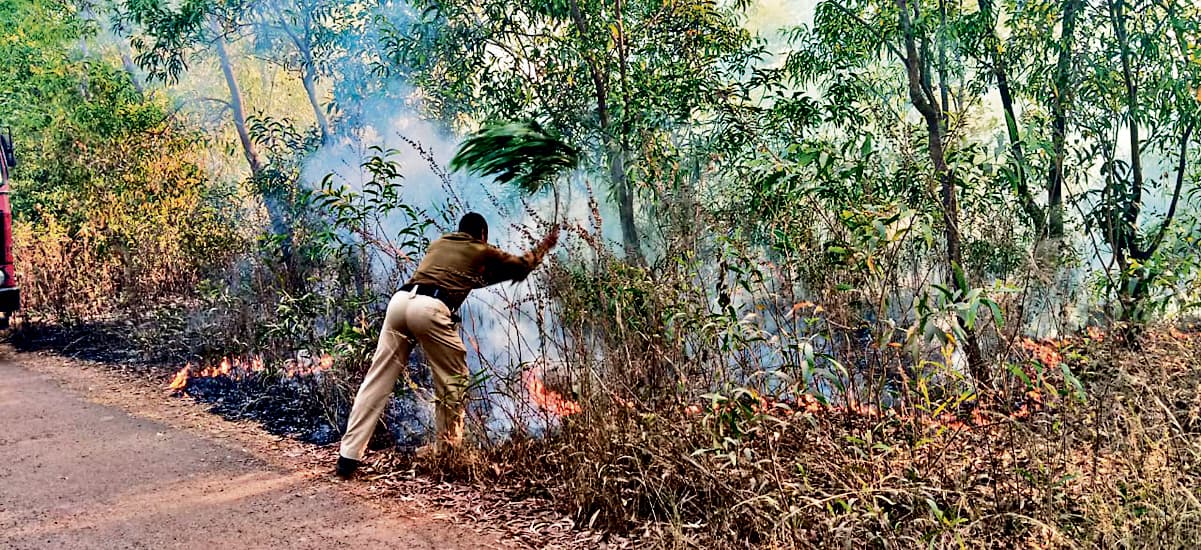 East Singhbhum News : सोनाहातु जंगल में लगी आग, चार घंटे में पाया काबू