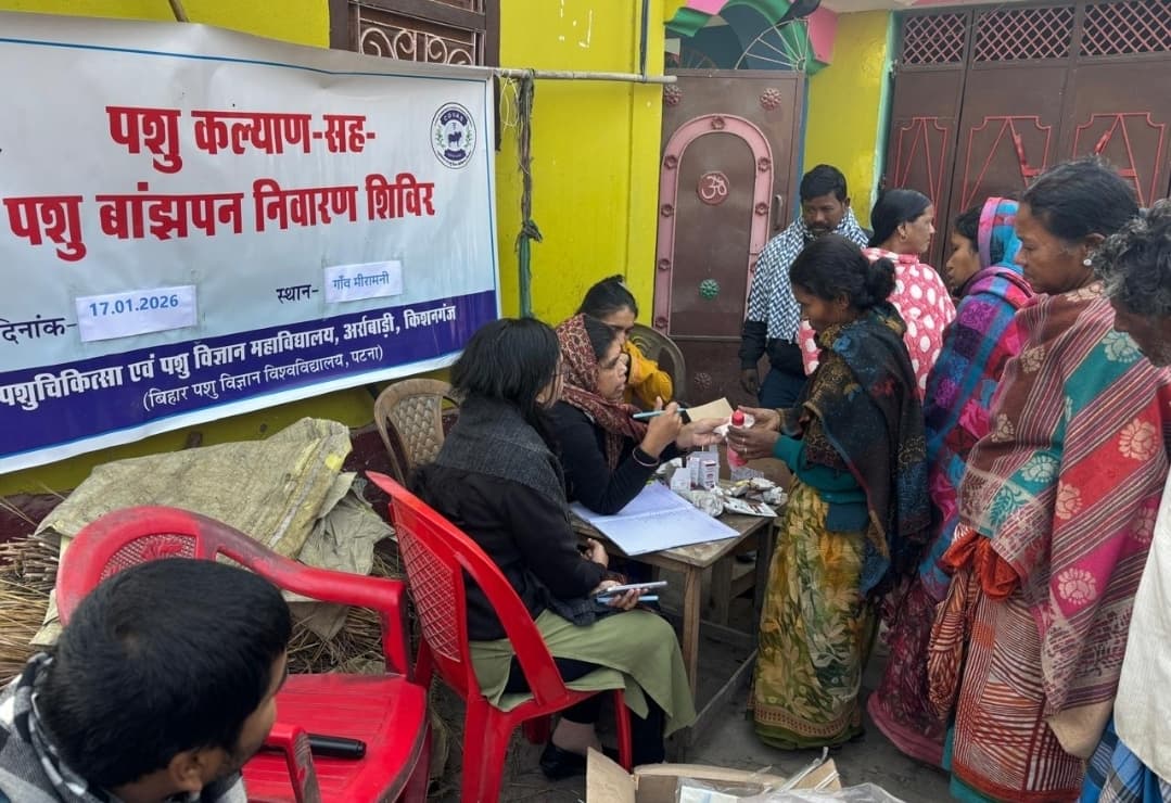 पशु कल्याण सह बांझपन निवारण शिविर में 154 पशुओं का उपचार