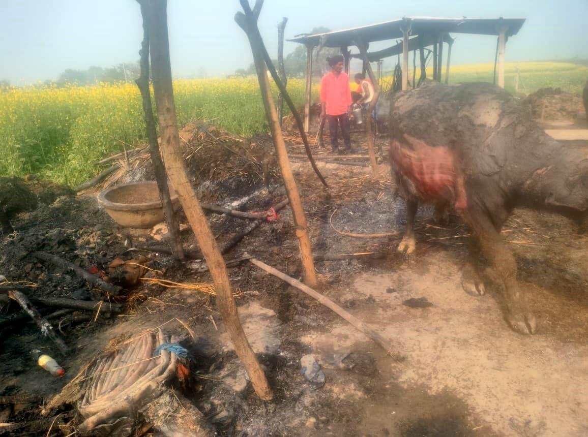 पिपरिया दियारा में चूल्हे की चिंगारी से भीषण आग