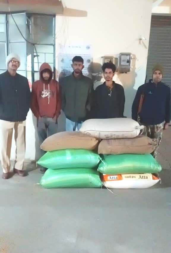 राइस मिल से धान की चोरी करने वाले तीन शातिर गिरफ्तार