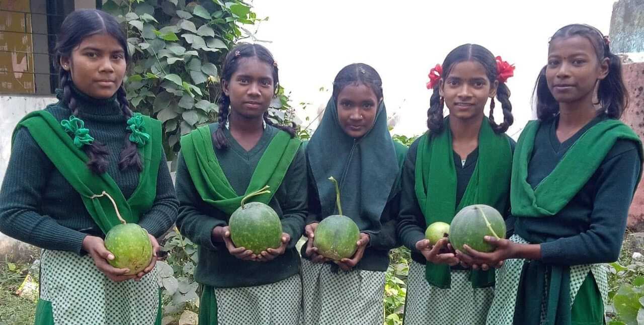 पोषण वाटिका से बच्चे खा रहे पौष्टिक भोजन, सीख रहे हैं बागवानी का हुनर