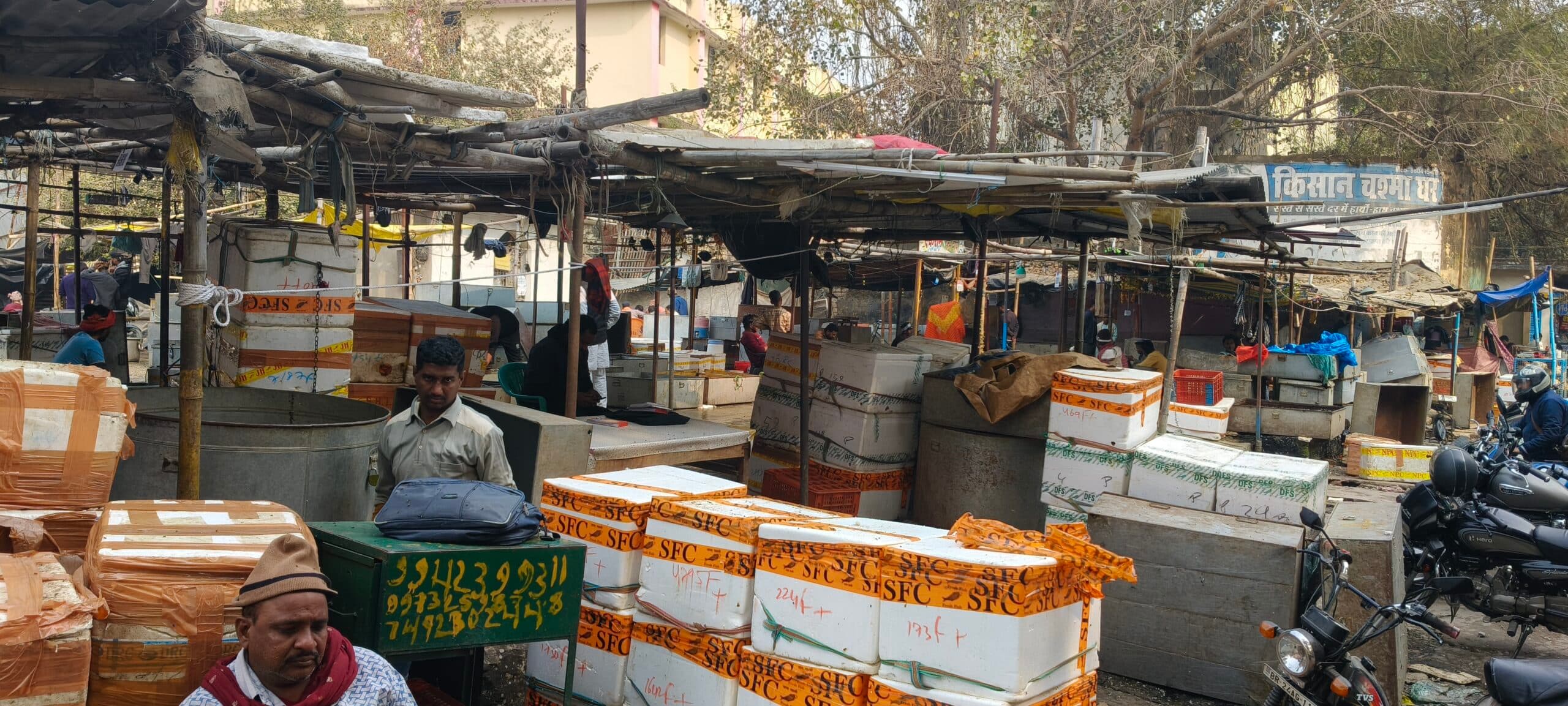 मछली मंडी अब वेंडिंग जोन में नहीं हो पायेगा शिफ्ट, दूसरे विकल्प की तलाश